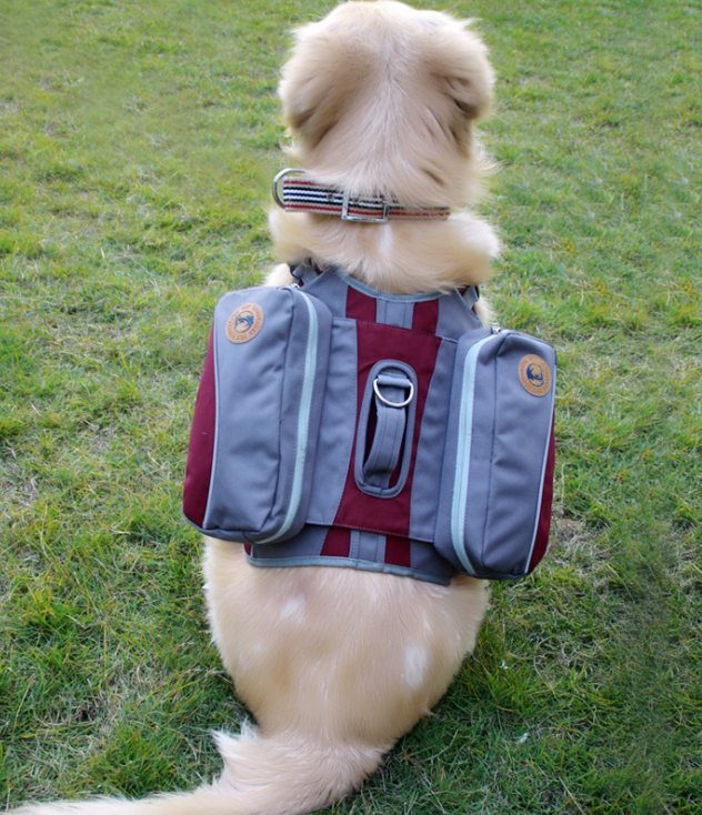 Hunde-Rucksack für unterwegs | LuxeStyle