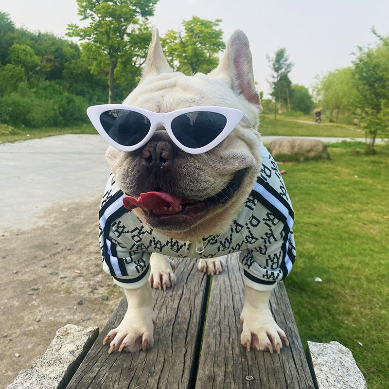 Zip-Up Hundemantel dehnbar