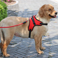 Gepolstertes Nylon-Geschirr für Hunde – Bild 1 | LuxeStyle