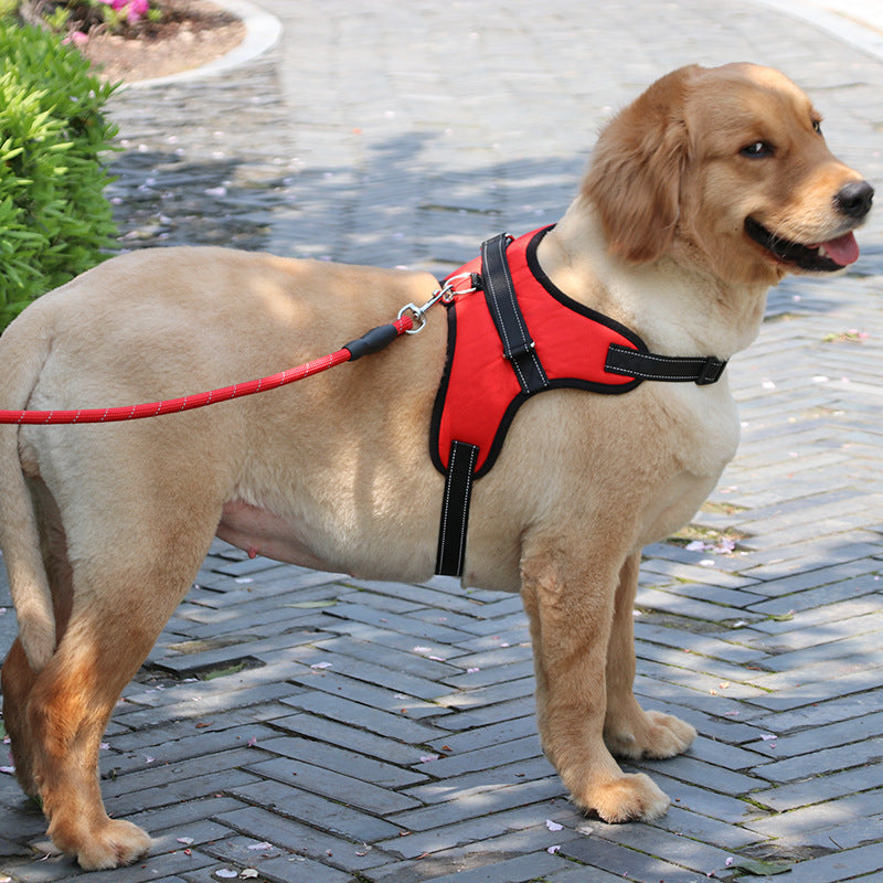 Gepolstertes Nylon-Geschirr für Hunde – Bild 1 | LuxeStyle