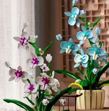 Zweifarbige Orchidee zum Zusammenbauen | LuxeStyle
