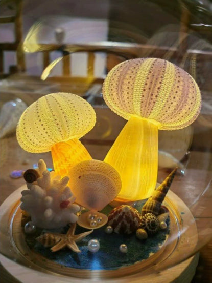Nachtlicht Seeigel-Muschel – Bild 2 | LuxeStyle
