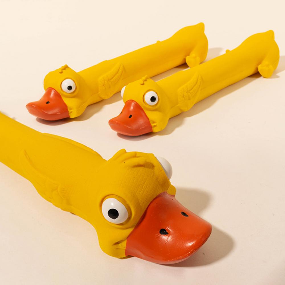 Quietsche-Ente aus Latex für gesunde Hundezähne