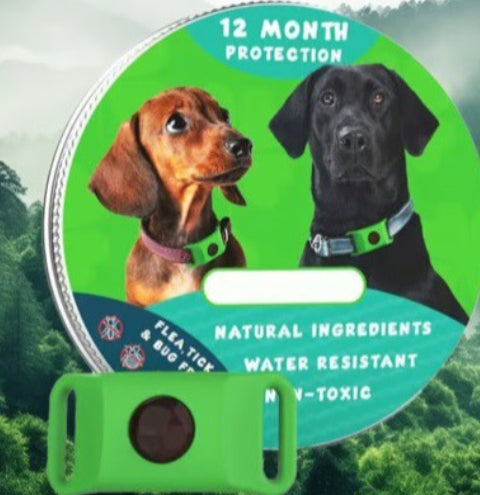 Flohhalsband für Hunde und Katzen