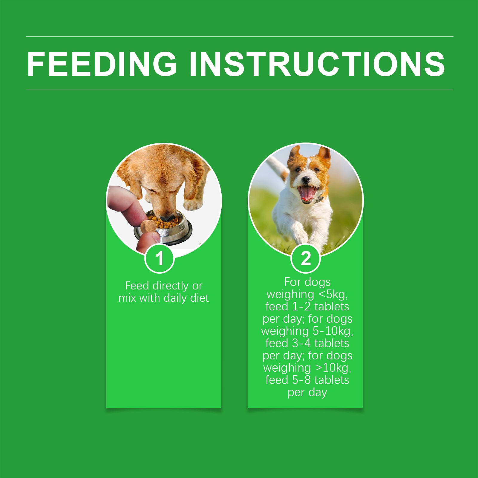 Gelenkschutz für Hunde