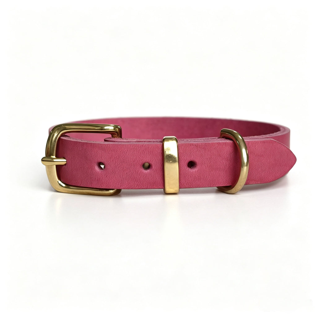 Vintage-Halsband für Haustiere mit Messing