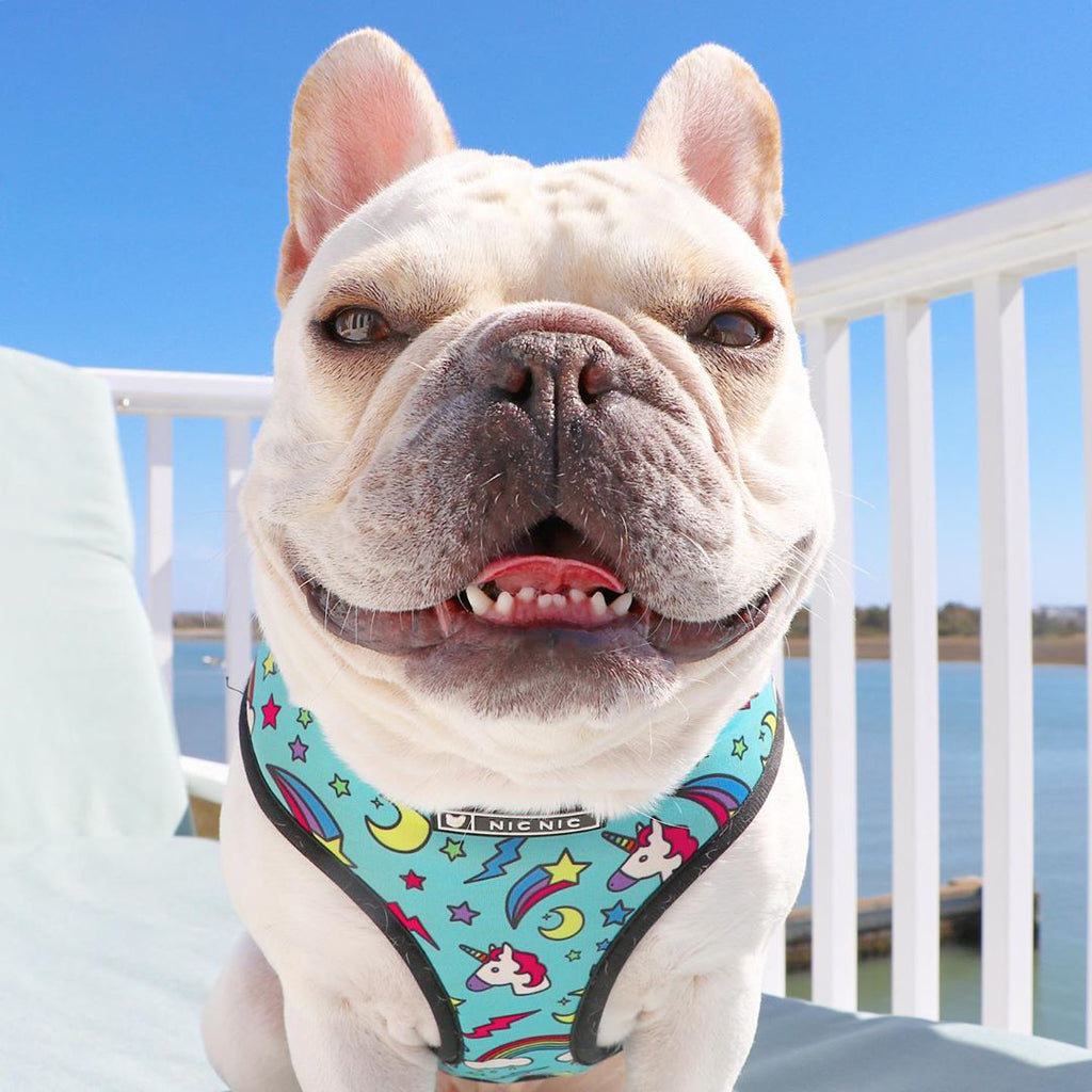 Brustgeschirr für Hunde – Polyester – Bild 3 | LuxeStyle