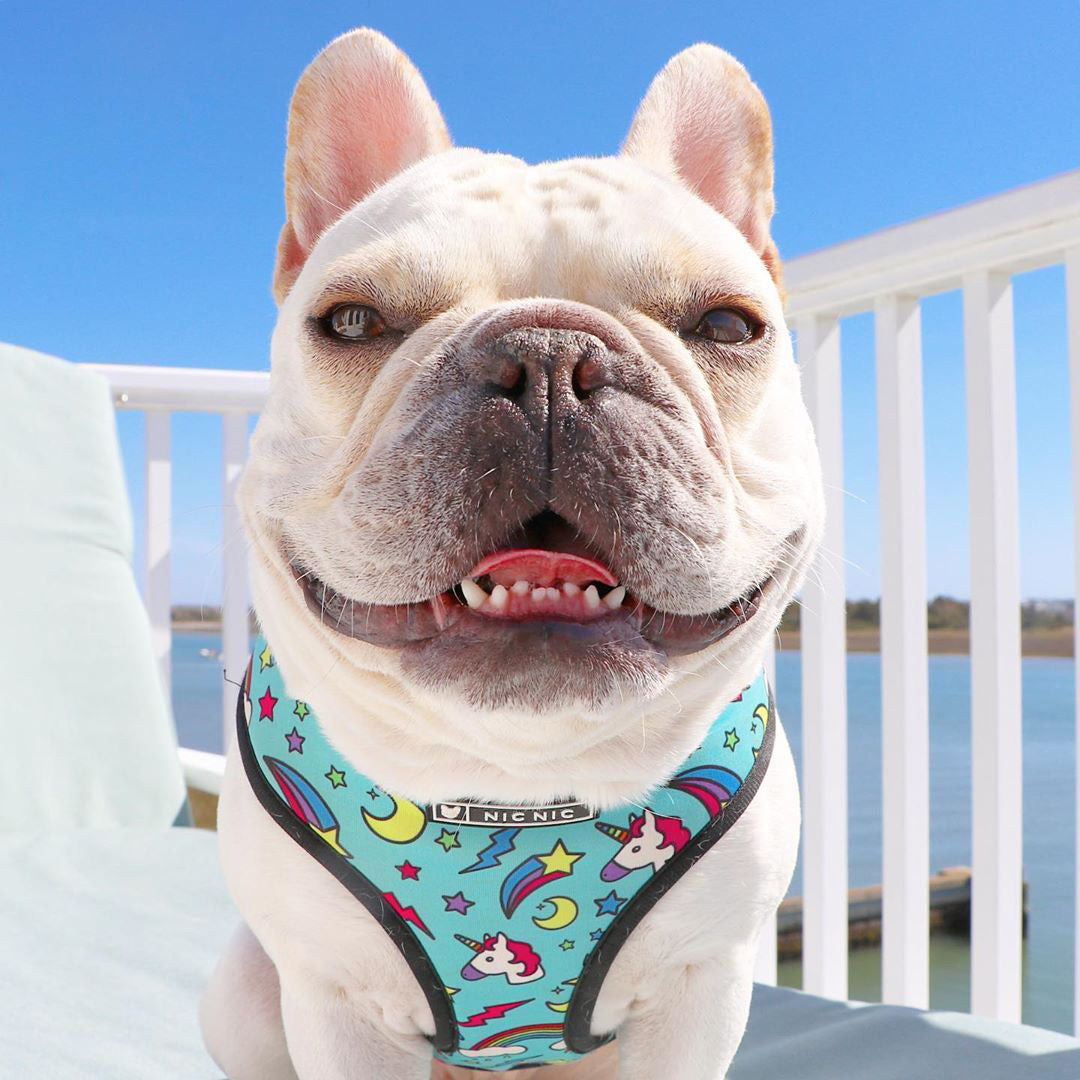 Brustgeschirr für Hunde – Polyester – Bild 3 | LuxeStyle