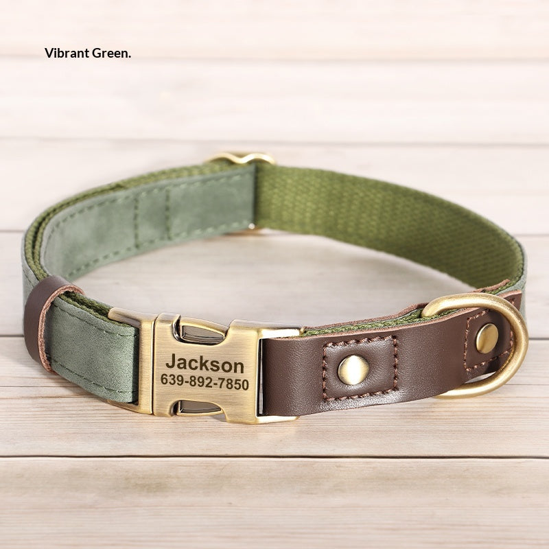 Halsband für mittelgrosse Hunde