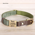 Halsband für mittelgrosse Hunde