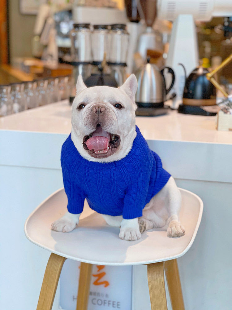 Bichon Corgi Winterpullover Blau – Bild 7 | LuxeStyle