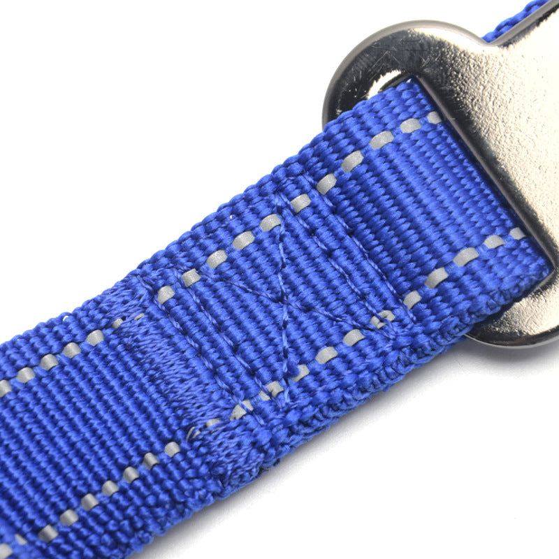 Elastische Hundeleine