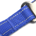 Elastische Hundeleine
