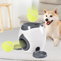 Futterspielzeug für Hunde