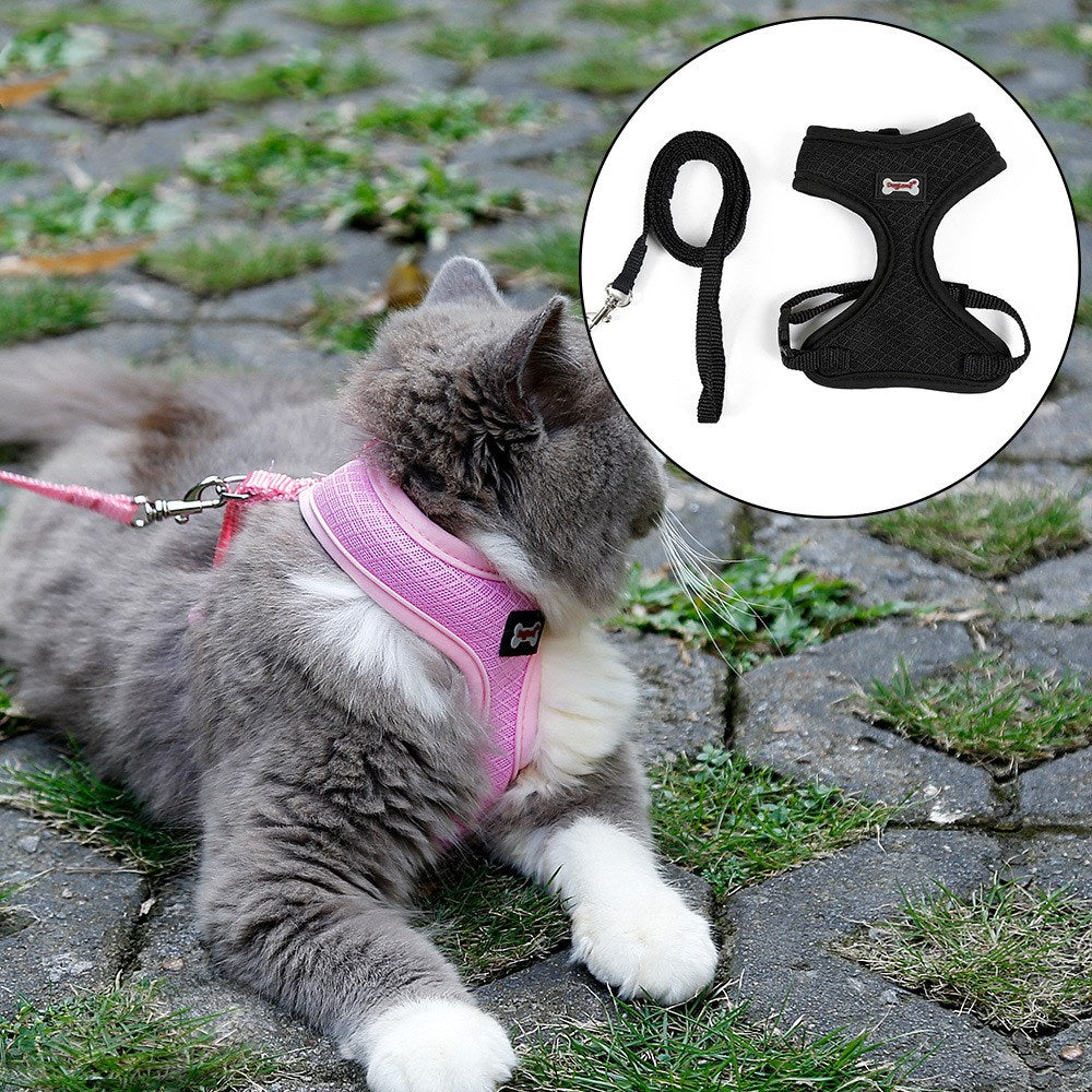 Anti-Rutsch Katzengeschirr | LuxeStyle
