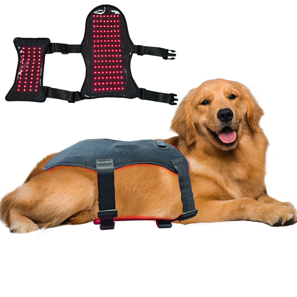 Rotlicht-Therapie-Gurt für Katzen & Hunde