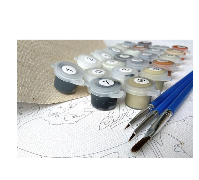 DIY Digital Painting Set (40x50cm)