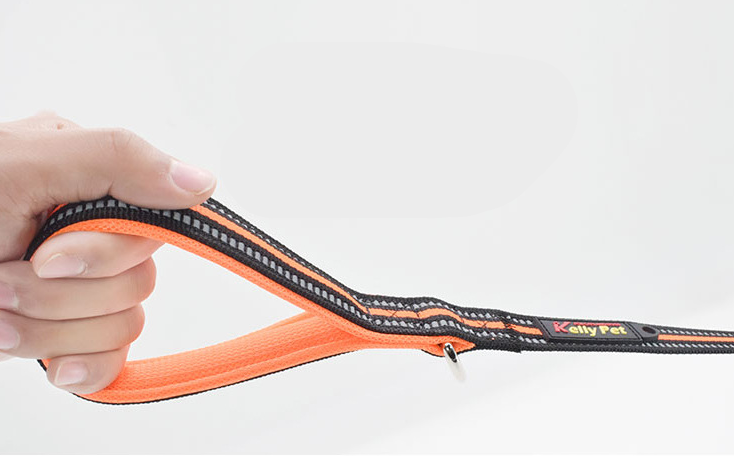 Hundeleine Nylon, ausziehbar – Bild 7 | LuxeStyle