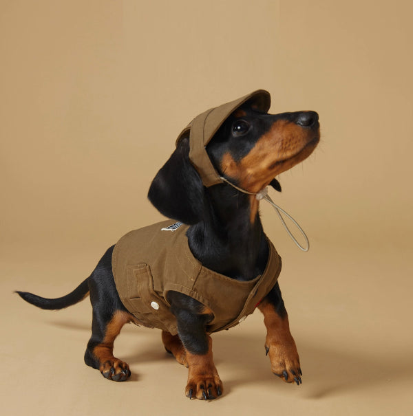Hundeweste – Sportlicher Look – Bild 3 | LuxeStyle