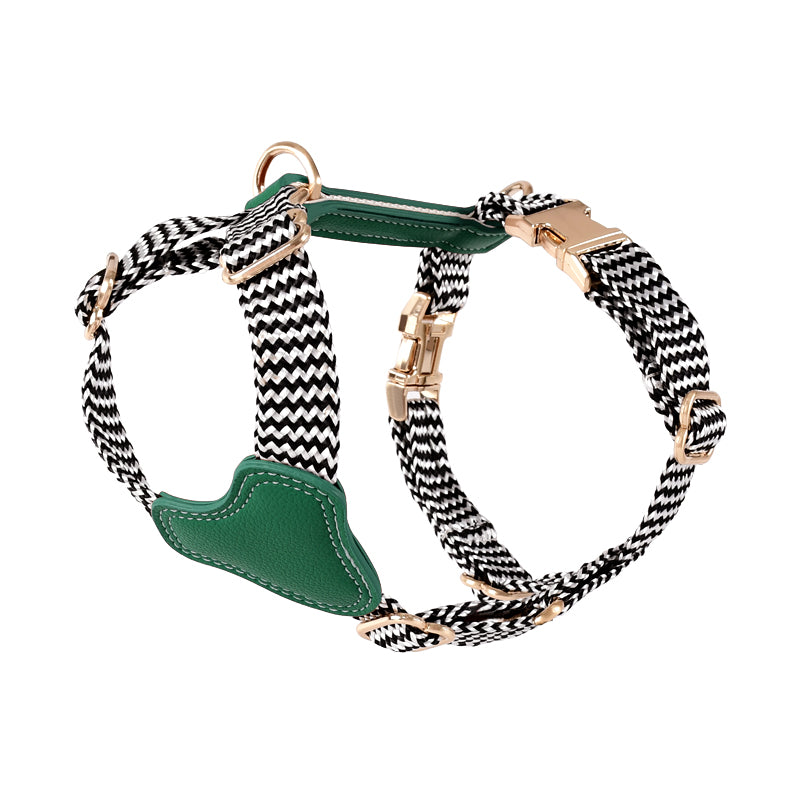 Halsband oder Brustgeschirr mit Leine für Hunde – Bild 11 | LuxeStyle