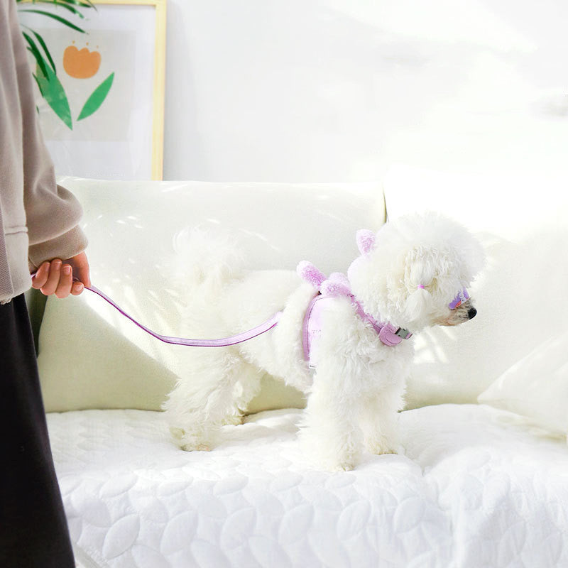 Gstältli-Set für Katzen und Hunde – Bild 6 | LuxeStyle