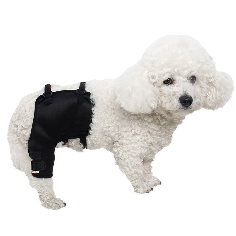 Hund Knie- und Beinschützer für draussen – Bild 5 | LuxeStyle