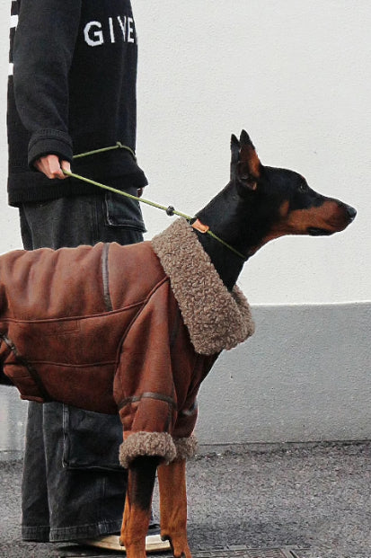 Velours-Wintermantel für grosse Hunde