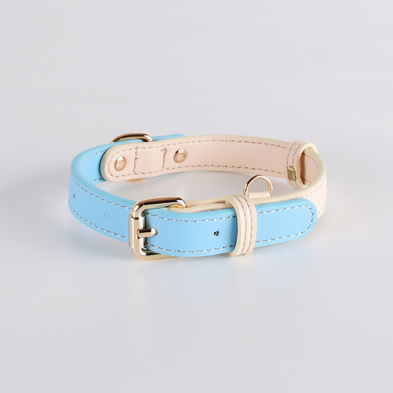 Lederhalsband für kleine bis mittelgrosse Hunde