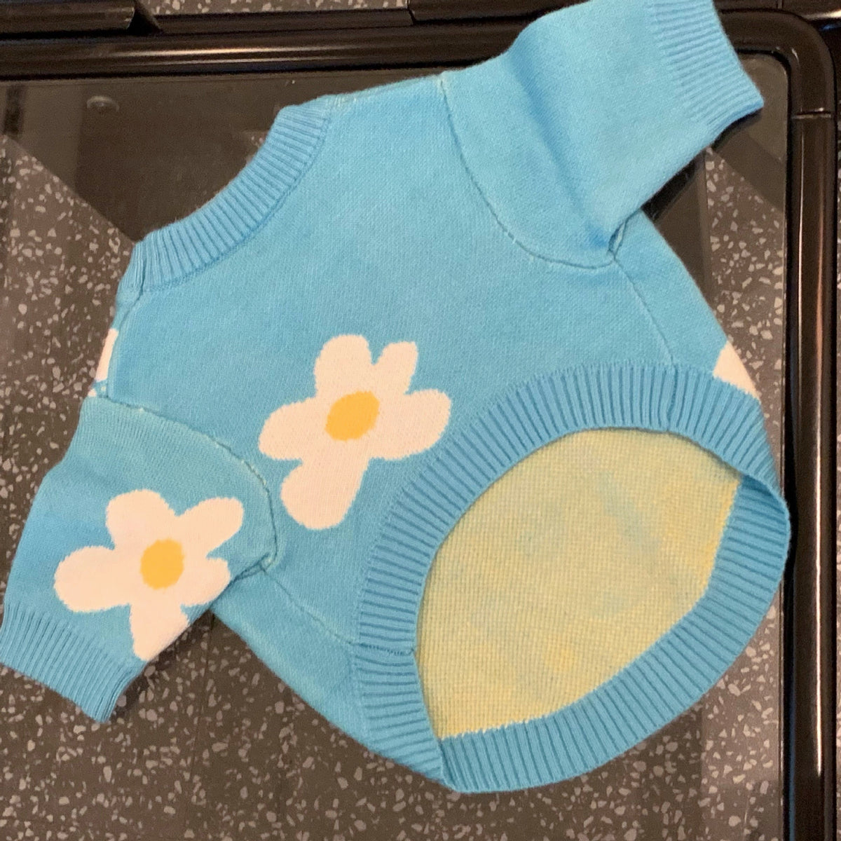 Pullover für Hund und Katze, Himmelblau – Bild 2 | LuxeStyle