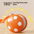 Smart Pet Teasing Ball für Katze & Hund