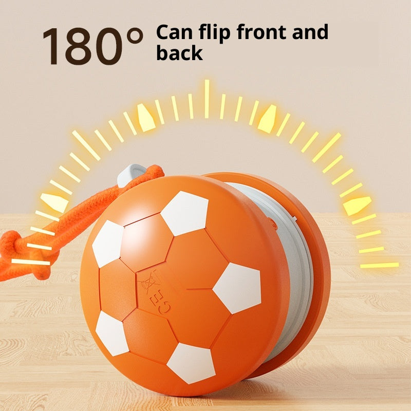 Smart Pet Teasing Ball für Katze & Hund