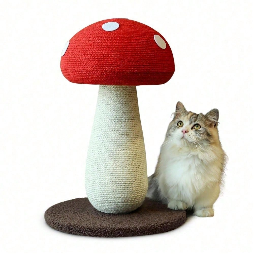 Pilz Kratzbaum für Katzen
