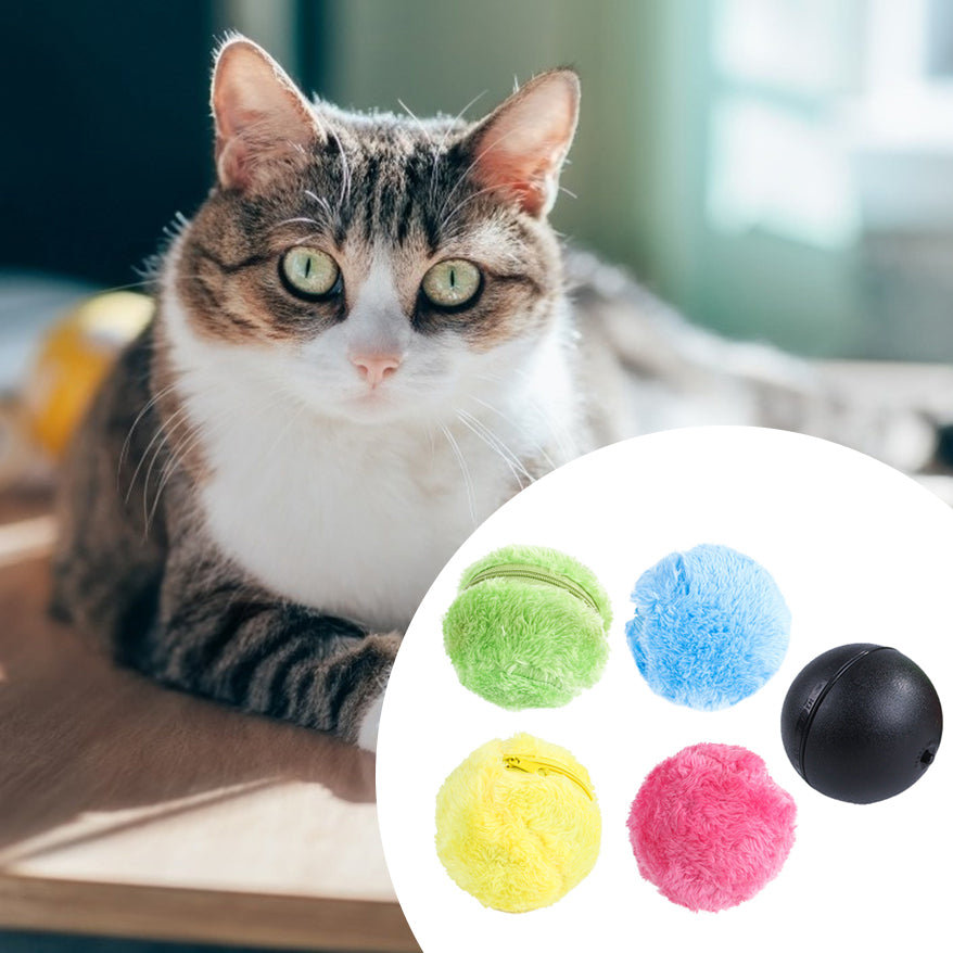 Interaktiver Plüsch-Rollball für Haustiere – Bild 12 | LuxeStyle
