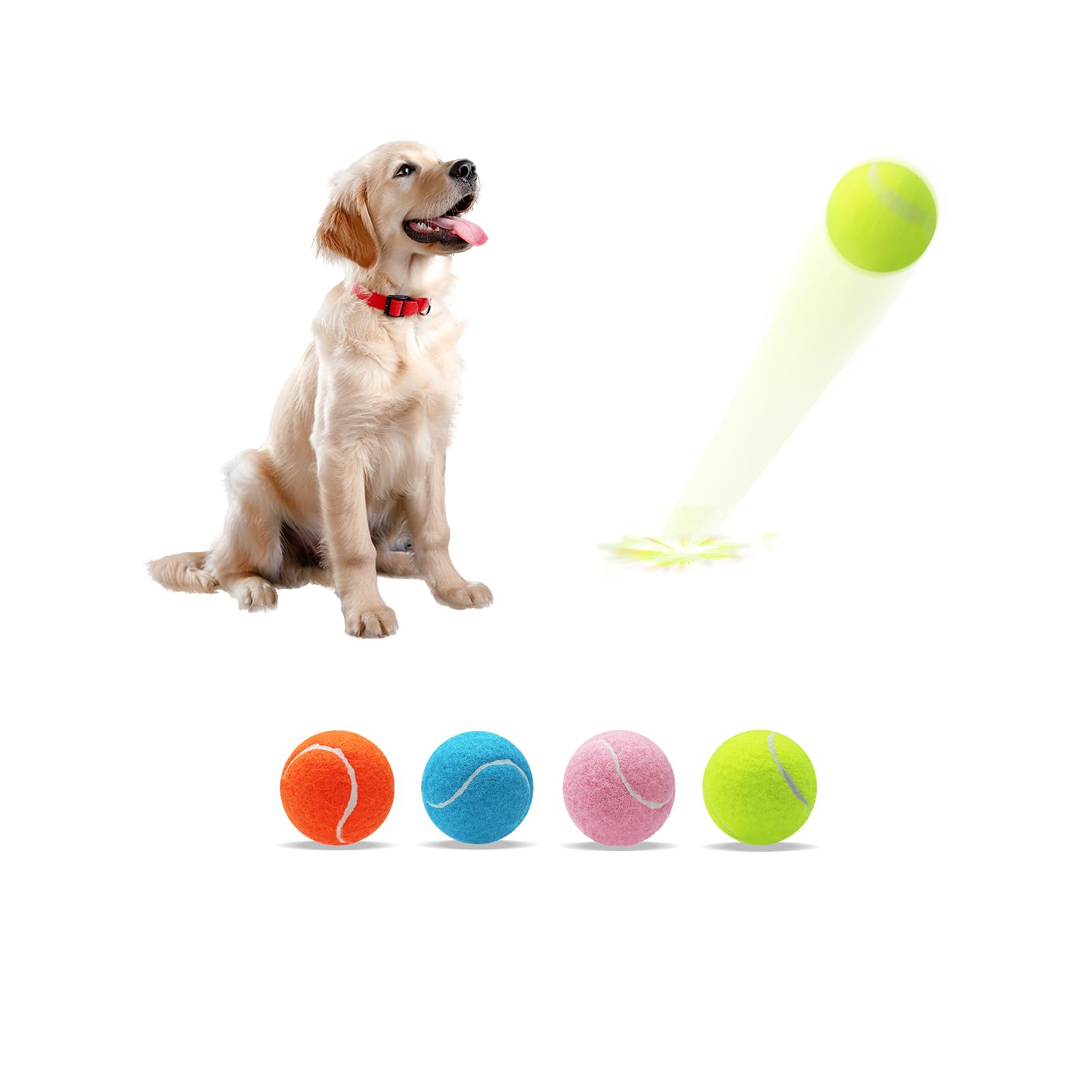 Farbige Tennisbälle für Hunde
