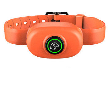 Wasserdichter Hunde-Trainer