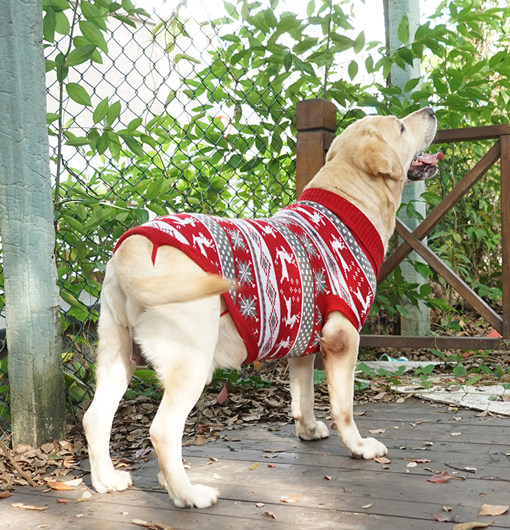 Hundestrickpullover für Herbst & Winter – Bild 5 | LuxeStyle