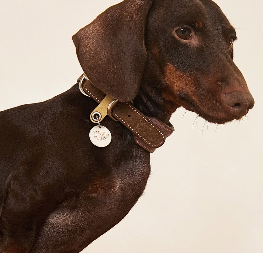 Halsband aus Rindsleder für Haustiere – Bild 2 | LuxeStyle