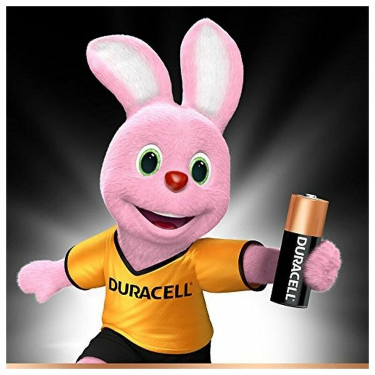 Alkali-Mangan-Batterie DURACELL Security MN21 MN21 12V 1.5W (2 pcs) – LuxeStyle Schweiz