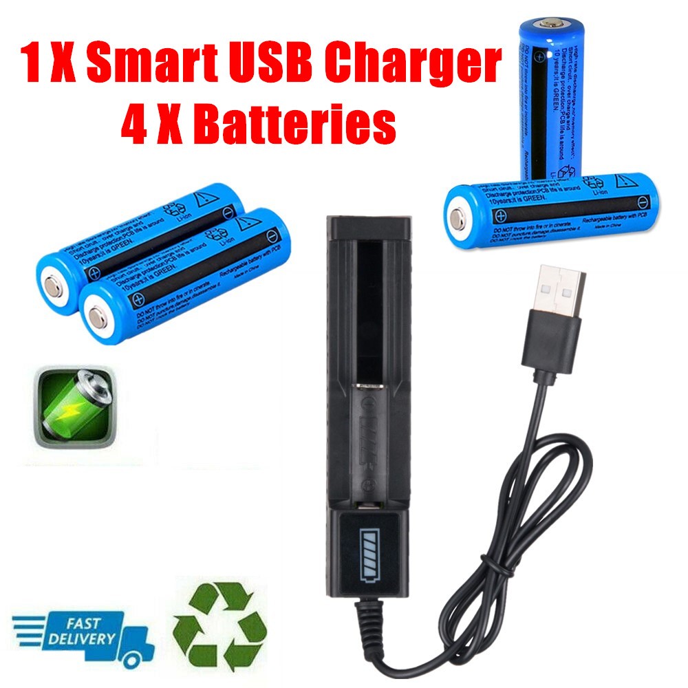 Li-ion Akku & USB-Ladegerät Set 3000mAh