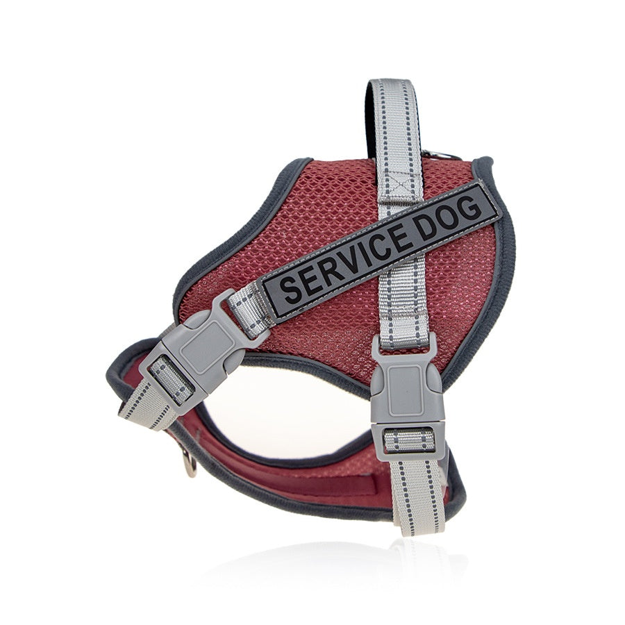 Reflektierendes Halsband für Haustiere