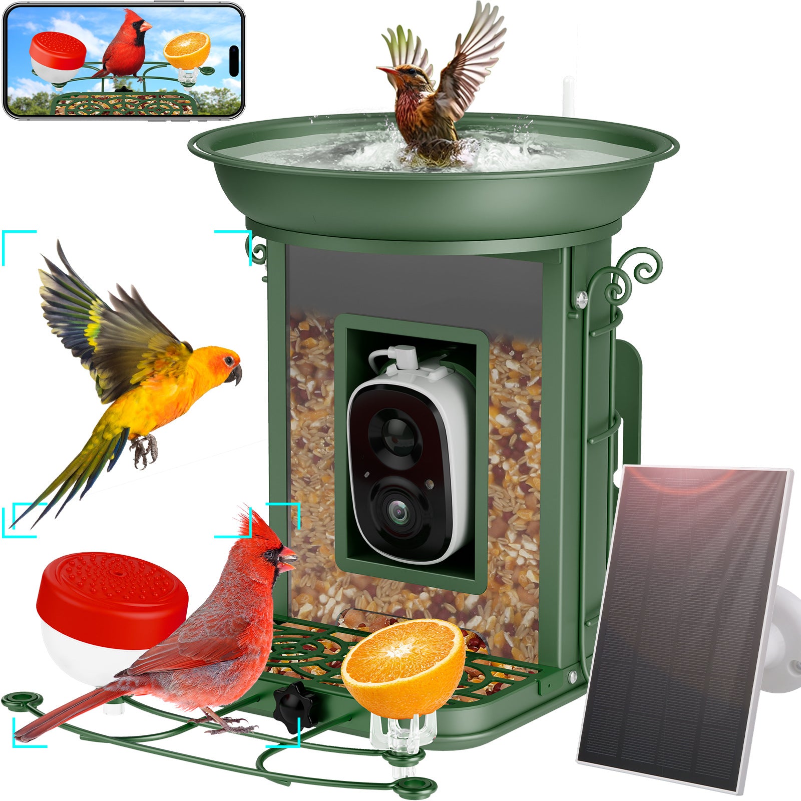Intelligente Vogel-Futterstelle mit Solar