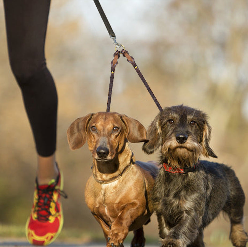 Rindsleder-Doppelhaken-Leine für zwei Hunde – Bild 4 | LuxeStyle