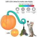 Leuchtender Spielball für Katzen