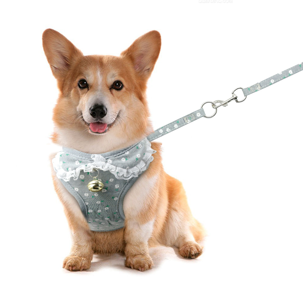 Hals- und Brustgurt mit Glocke für kleine Hunde | LuxeStyle