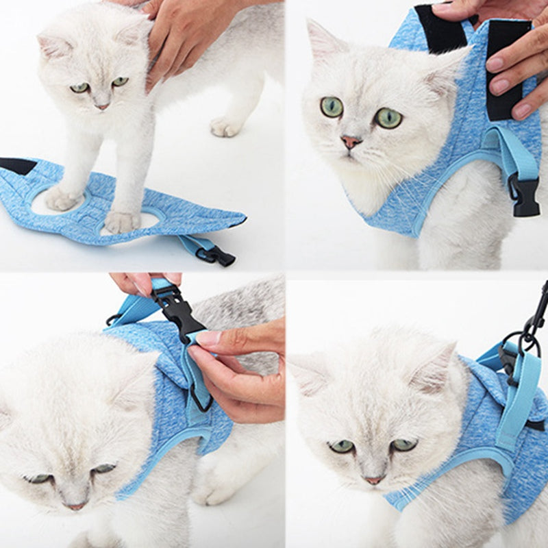 Trittbann mit Brustgurt für Katzen – Bild 5 | LuxeStyle