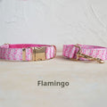 Hundehalsband- und Leinen-Set | LuxeStyle