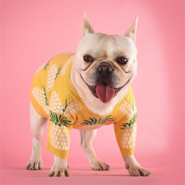 Ananaspullover aus Baumwolle – Bild 7 | LuxeStyle