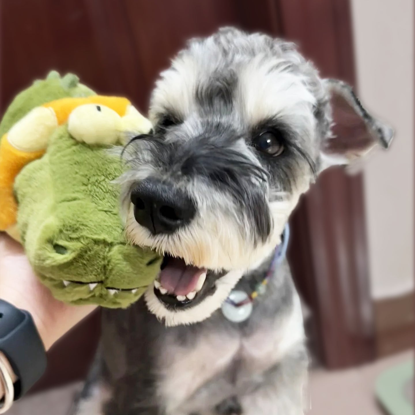 Elektronisches Plüschspielzeug für Hunde