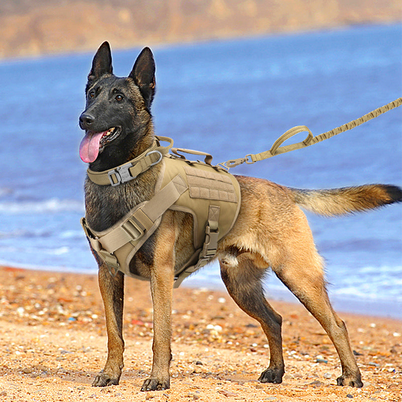 Taktisches K9 Brustgeschirr für Hunde – Bild 4 | LuxeStyle