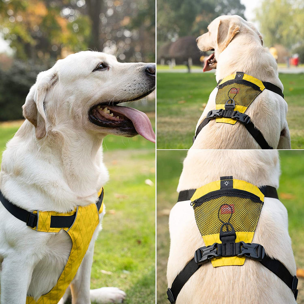 Reflektierendes Hundegeschirr wasserdicht – Bild 5 | LuxeStyle